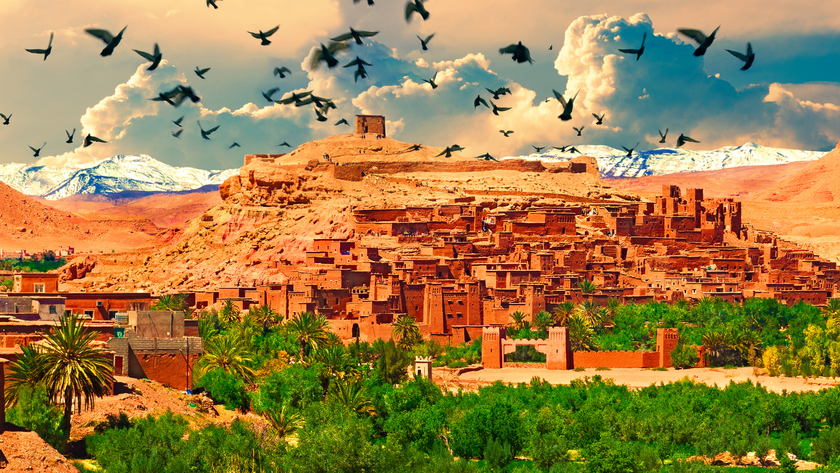 kasbah 2022